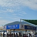 장승로 | [거제도 여행] 외도 유람선 내돈내산 장승포유람선 타고 외도보타니아 후기