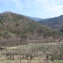 냉천농장 이미지