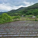 횡천면사무소 이미지