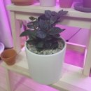 초원꽃집 이미지