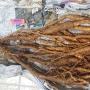 한뿌리농장 이미지