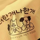 홍PC | 박신혜 미쓰홍 시청률 급상승 총정리