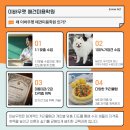 애견미용사 3급 자격증 과정 1 이미지