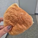 천하체육관 | 내 지랄이 멈추지 않는 탓일까? ㅜㅜ.｡oO