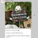 주식회사 더홈 산후조리원 | [임신기록] 전주 베이비로그스튜디오 만삭사진촬영 솔직후기 (헤일로즈 산후조리원 연계)