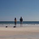 낙원의밤 이미지