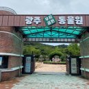 퍼스트펫 네이버블로그