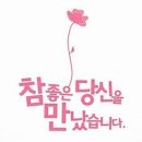 필라이브 생음악 이미지