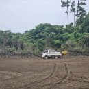 평대농장 이미지