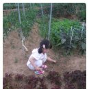 채희농장 이미지