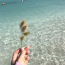 2018년 수린이 일기