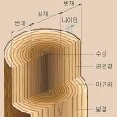 한옥 바르게 알기 - 우리 전통건축 한옥의 모든것 이미지