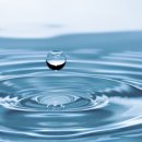 국가대표 마스터 태권도장 이미지