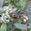 선운 농장 이미지