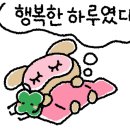 한림명동 이미지