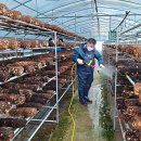 재진2농장 이미지