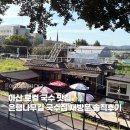 은행나무길 | 아산 곡교천 국수맛집| 은행나무길 국수집 재방문 솔직후기 | 비빔국수 • 연잎만두 맛집 총정리
