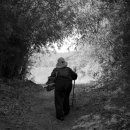 안정순환로267번길 이미지