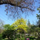 성호공원 화장실 이미지