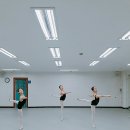 로잔발레학원 이미지