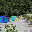 영학관광농원 야영장 이미지