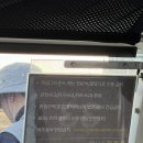 45 | 벨라45CC 야간 라운딩 후기 | 코스난이도, 페어웨이, 그린컨디션 총정리