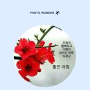 금나와라 이미지