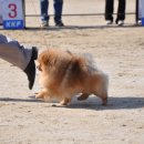 이천공설운동장 이미지