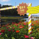 사거리시장 이미지