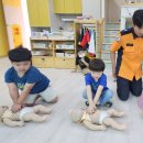 해럴드유치원 이미지