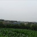 도내리보건진료소 이미지