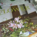 아로마천연화장품,비누만들기 이미지