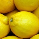 레몬팁 이미지