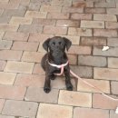 웰빙공인중개사사무소 이미지