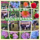미성동-11 | 소통은 넓게, 인연은 깊게! 함께하는 오늘이 더 큰 내일을 만듭니다 군장대 CEO 11기 정기 월례회