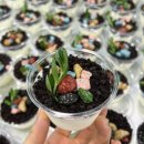 용곡2길 | [눈높이용곡러닝센터]요거트 화분케이크 만들기 행사 후기