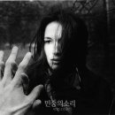 고은 깁슨 사진미술관 민중의소리