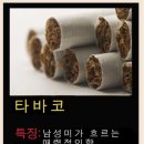 까치전자 이미지