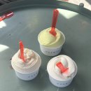 꽃담은강문을담다 이미지