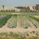 성의농장 2 이미지