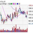 (주)마제스타 마제스타카지노 이미지