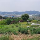 가송농장 티스토리