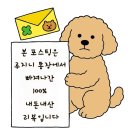 마전터 | 한성대 성북천 야장 추천 소곱창 맛집 마전터곱창 후기