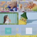 마틴스미스 카카오 검색결과