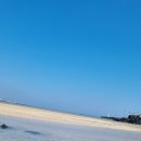 표선리-16 이미지