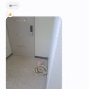 봄동산꽃화원 이미지