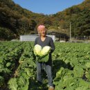 황금농장2 이미지