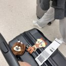 미국 국내선 환승 스피릿항공 후기 2시간연착ㅋㅋ