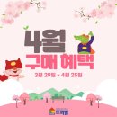 대구프뢰벨 네이버블로그