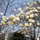 신암초교 이미지